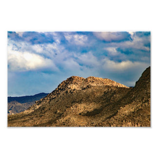 Joshua Tree Photo Print