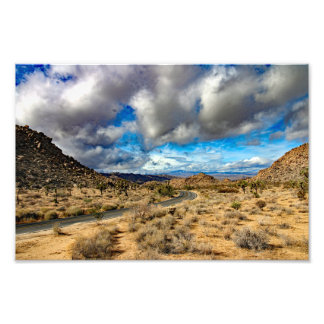 Joshua Tree Photo Print