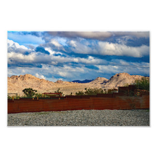 Joshua Tree Photo Print