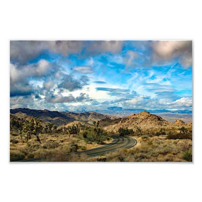 Joshua Tree Photo Print (Front)