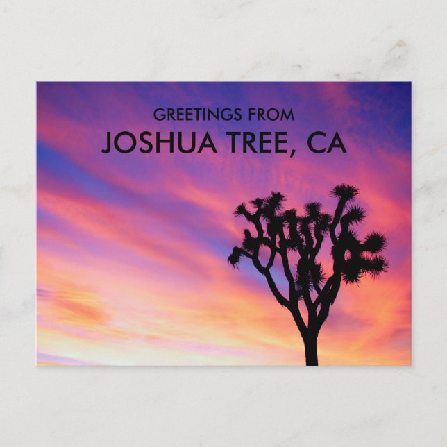 Joshua Tree Pink Sky Sunset Silhouette Greetings Postcard (Front)