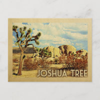 Joshua Tree Postcard California Vintage Travel
