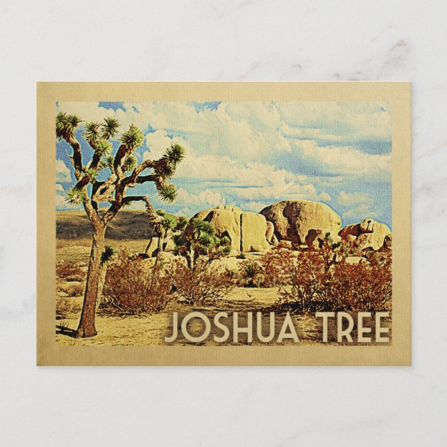 Joshua Tree Postcard California Vintage Travel (Front)