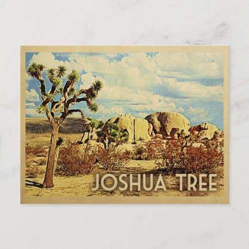 Joshua Tree Postcard California Vintage Travel