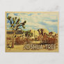 Joshua Tree Postcard California Vintage Travel