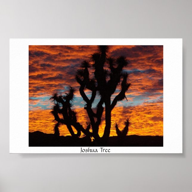 Joshua Tree Poster (Front)