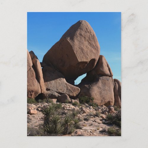 Joshua Tree Rocks Boulders Postcard