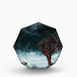 Joshua Tree Special Award<br><div class="desc">Joshua Trees in the deserts of Southern California</div>