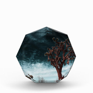 Joshua Tree Special Award