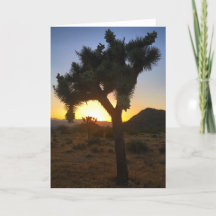 joshua tree sunset #3 greeting card