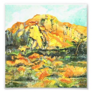 Joshua Tree Posters Prints Zazzle