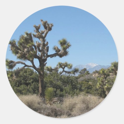 Joshua Tree View Classic Round Sticker