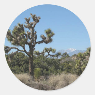Joshua Tree View Classic Round Sticker