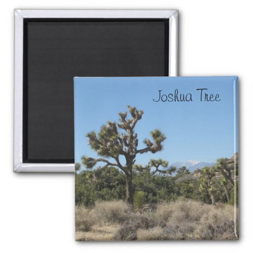 Joshua Tree View Magnet