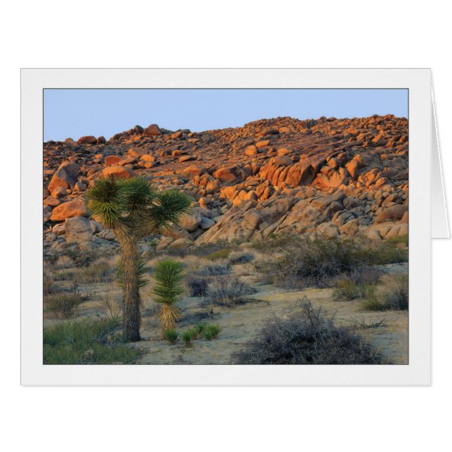 "Joshua Tree With Offspring" Cards (Front Horizontal)