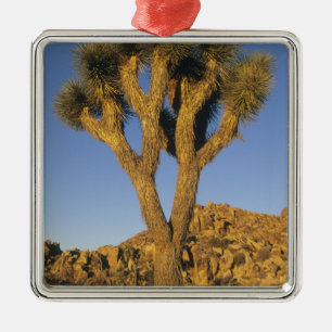 Joshua Tree, Yucca brevifolia), and granite Metal Ornament