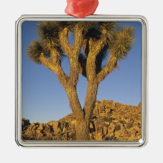 Joshua Tree, Yucca brevifolia), and granite Metal Ornament (Front)