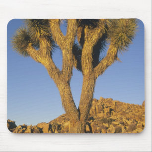 Joshua Tree, Yucca brevifolia), and granite Mouse Pad