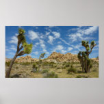 Joshua Trees and Blue Sky Desert Landscape Poster