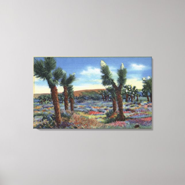 Joshua Trees and Desert Wild Flowers View Canvas Print (Front)