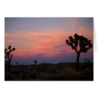 Joshua Trees at Sunset Cards
