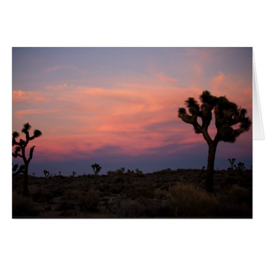Joshua Trees at Sunset Cards (Front Horizontal)