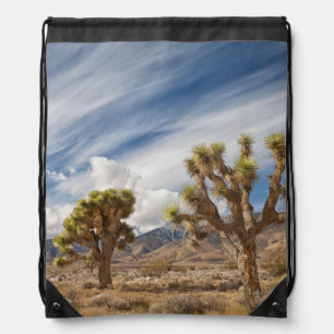 Joshua Trees in Desert Drawstring Bag