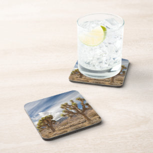 Joshua Trees in Desert Drink Coaster
