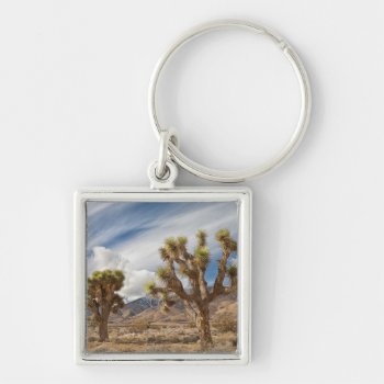 Joshua Trees In Desert Keychain by usdeserts at Zazzle