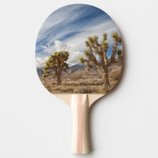 Joshua Trees in Desert Ping Pong Paddle