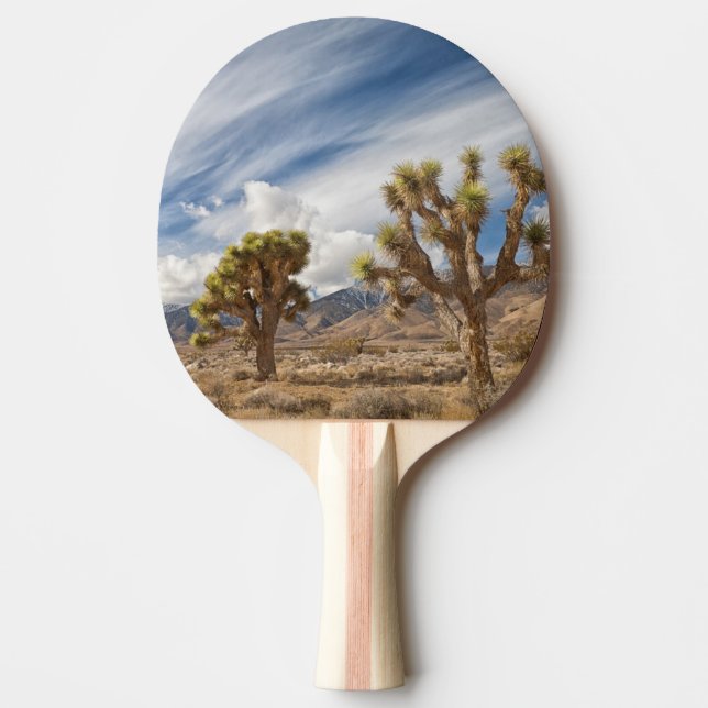 Joshua Trees in Desert Ping Pong Paddle (Front)