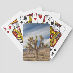 Joshua Trees in Desert Poker Cards