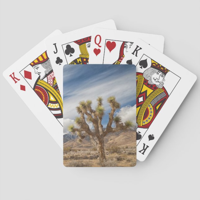 Joshua Trees in Desert Poker Cards (Back)