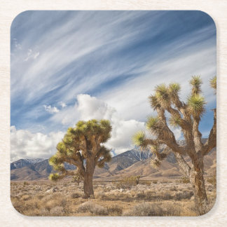Joshua Trees in Desert Square Paper Coaster