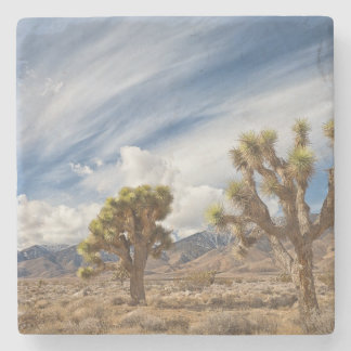 Joshua Trees in Desert Stone Coaster