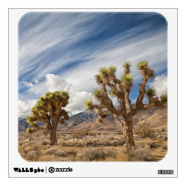 Joshua Trees in Desert Wall Decal (Front)