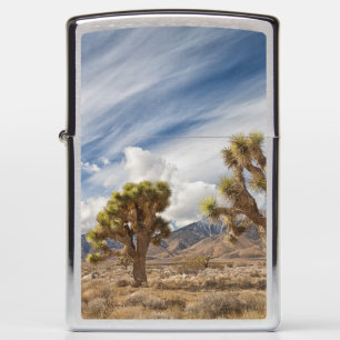 Joshua Trees in Desert Zippo Lighter
