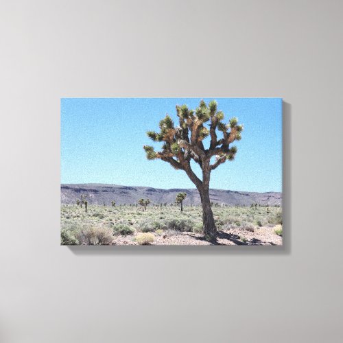 Joshua Trees in Goldfield Nevada Desert Canvas Print