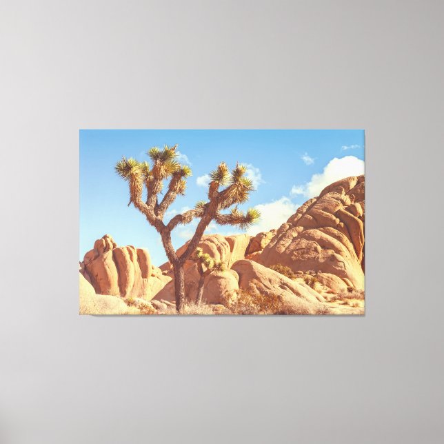 Joshua Trees Landscape with Rock Formations  Canvas Print (Front)