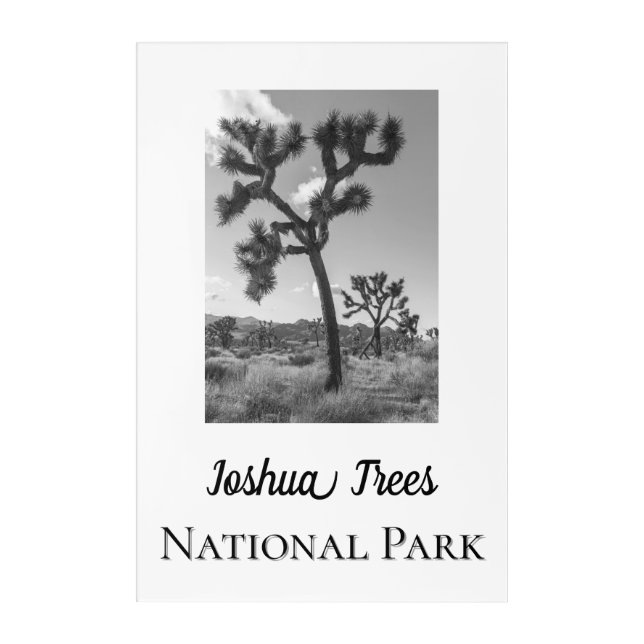 Joshua Trees National Park Acrylic Print (Front)