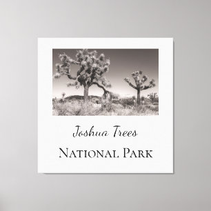 Joshua Trees National Park Canvas Print
