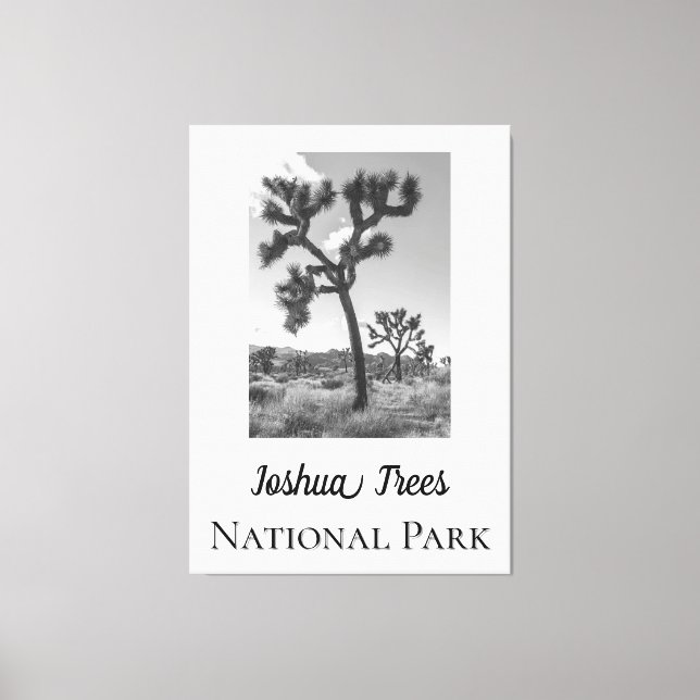 Joshua Trees National Park Canvas Print (Front)