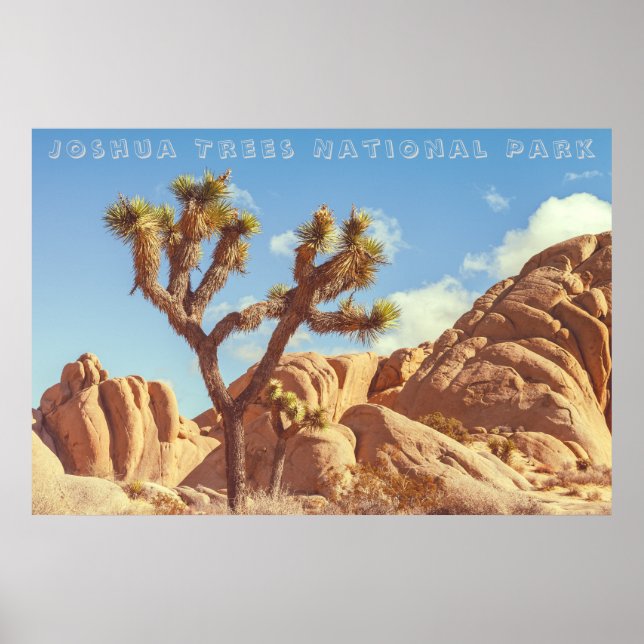 Joshua Trees National Park Landscape Scenery Poster (Front)