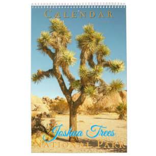 Joshua Trees National Park Landscapes Scenery Calendar