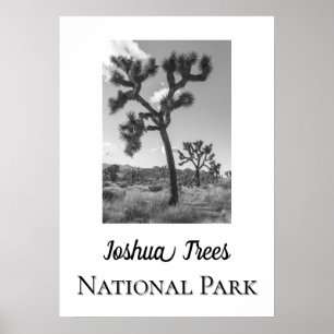 Joshua Trees National Park Poster