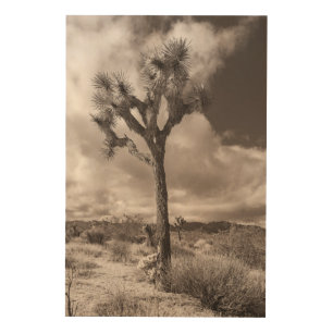 Joshua Yucca Wood Wall Art