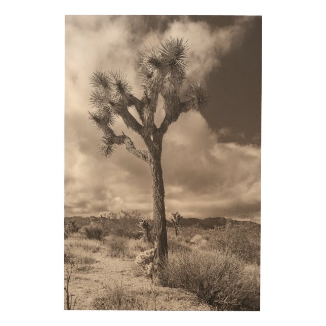 Joshua Yucca Wood Wall Art (Front)