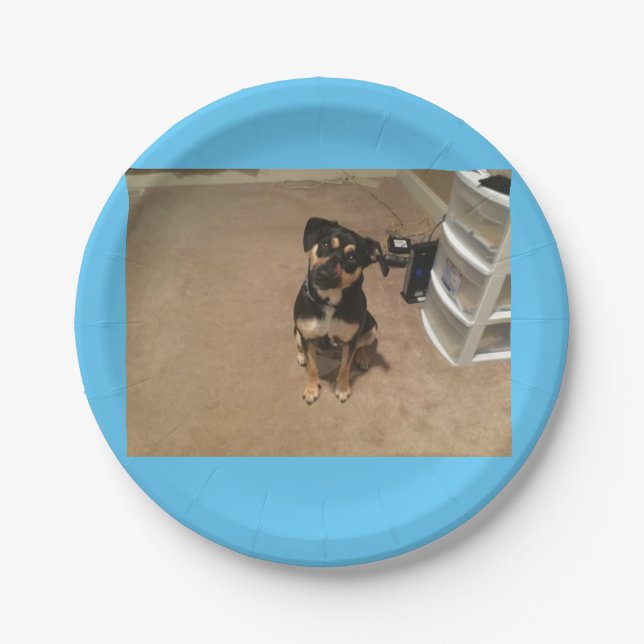 Josie paper plate (Front)