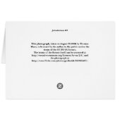 Jotunheimen #4 cards (Back Horizontal)
