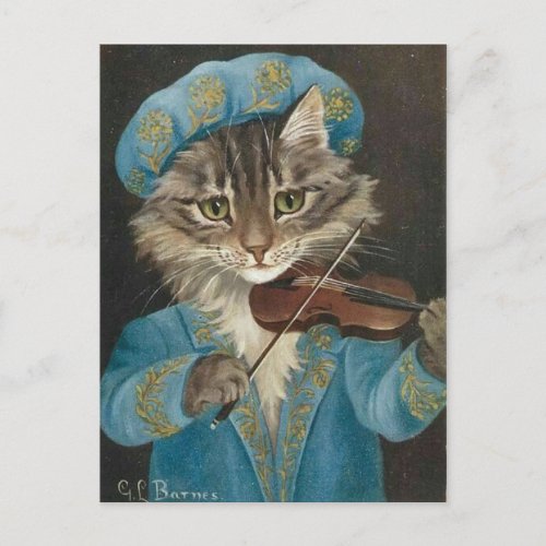 Joueur de violon chat postcard